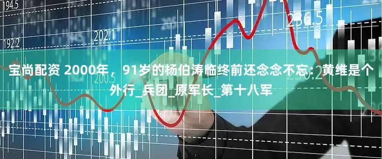 宝尚配资 2000年，91岁的杨伯涛临终前还念念不忘：黄维是个外行_兵团_原军长_第十八军