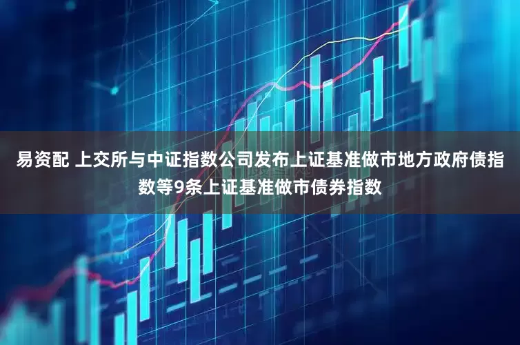 易资配 上交所与中证指数公司发布上证基准做市地方政府债指数等9条上证基准做市债券指数