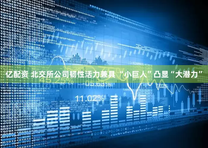 亿配资 北交所公司韧性活力兼具 “小巨人”凸显“大潜力”