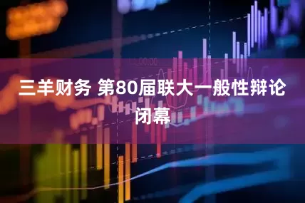 三羊财务 第80届联大一般性辩论闭幕