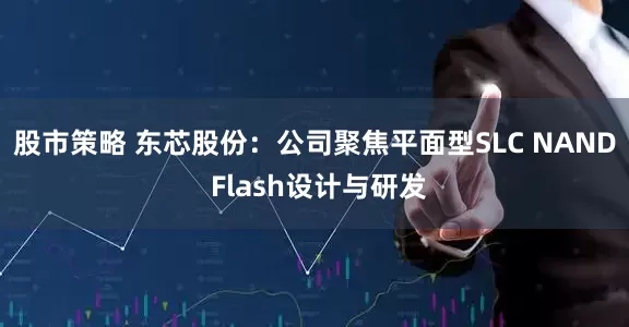 股市策略 东芯股份：公司聚焦平面型SLC NAND Flash设计与研发